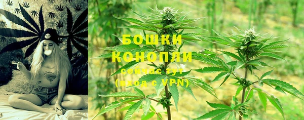 MESCALINE Аркадак