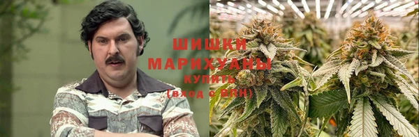 MESCALINE Аркадак