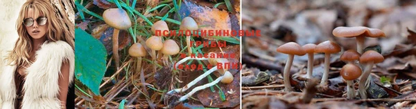 MESCALINE Аркадак