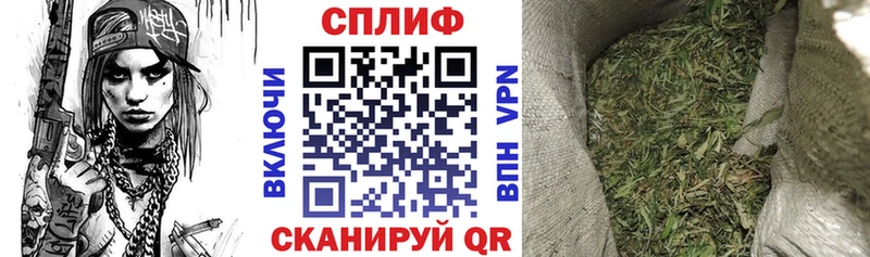 Бошки Шишки ГИДРОПОН Ахтубинск